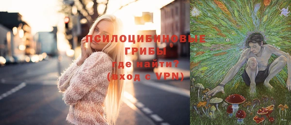 a pvp Заволжск
