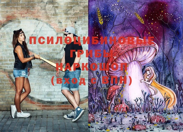 амфетамин Заводоуковск