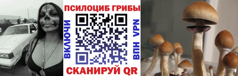 Псилоцибиновые грибы GOLDEN TEACHER  наркошоп  Евпатория 