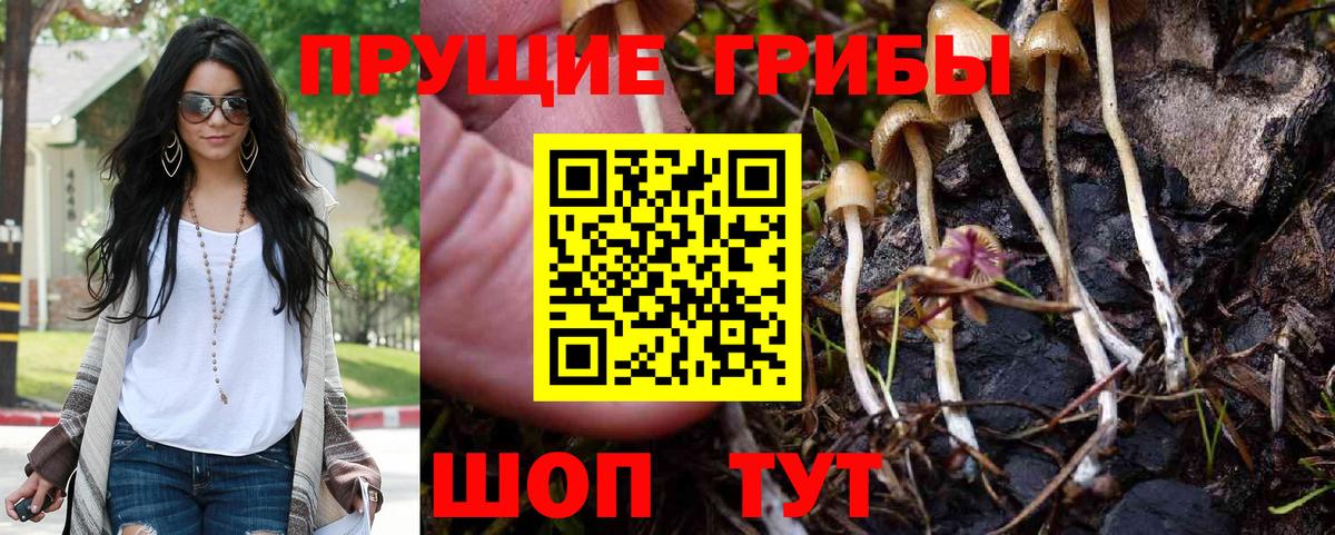 Евпатория  Псилоцибиновые грибы Psilocybine cubensis  Вход с VPN 