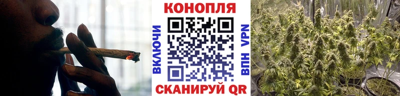 Бошки Шишки планчик  Евпатория 